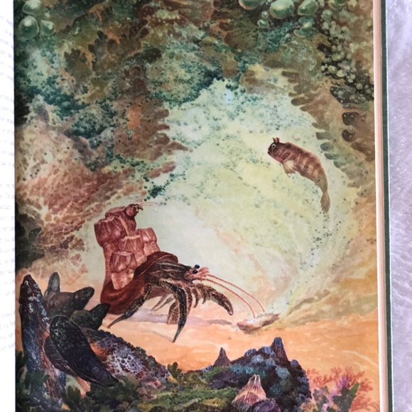 Pagoo by Holling Clancy Holling 1957 Vintage Book - Picture 11 of 13